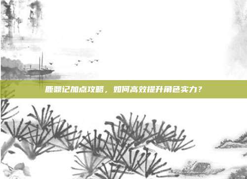 鹿鼎记加点攻略,如何高效提升角色实力?