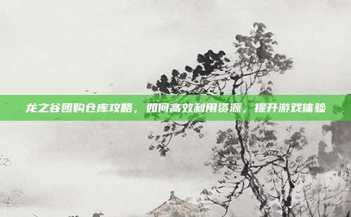 龙之谷团购仓库攻略，如何高效利用资源，提升游戏体验