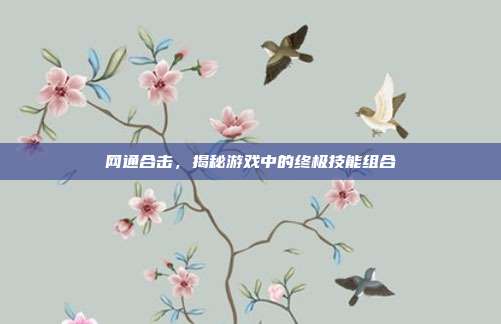 网通合击,揭秘游戏中的终极技能组合