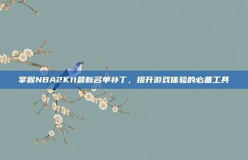 掌握NBA2K11最新名单补丁,提升游戏体验的必备工具