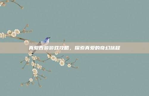真爱西游游戏攻略,探索真爱的奇幻旅程