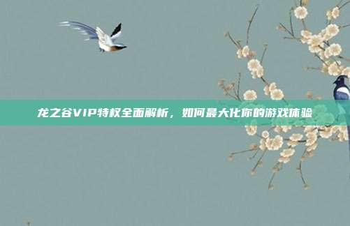 龙之谷VIP特权全面解析，如何最大化你的游戏体验