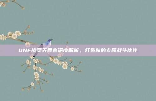DNF战灵天舞套深度解析,打造你的专属战斗伙伴