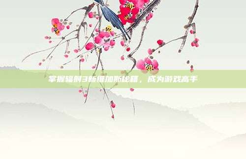 掌握辐射3新维加斯秘籍,成为游戏高手