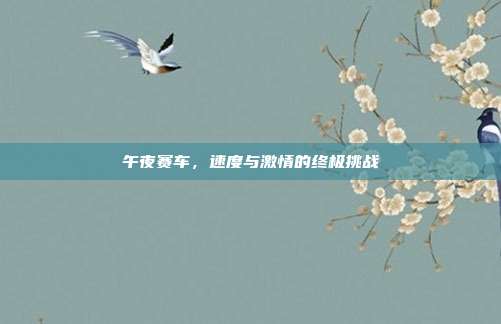 午夜赛车,速度与激情的终极挑战
