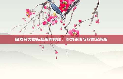 探索完美国际私服的奥秘,游戏资讯与攻略全解析