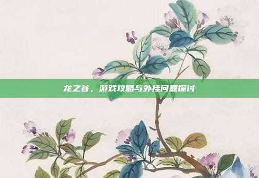 龙之谷,游戏攻略与外挂问题探讨