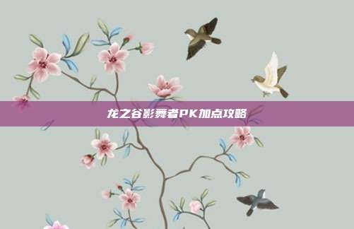 龙之谷影舞者PK加点攻略