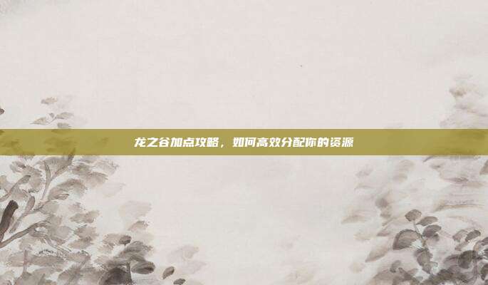 龙之谷加点攻略,如何高效分配你的资源