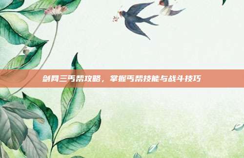 剑网三丐帮攻略,掌握丐帮技能与战斗技巧