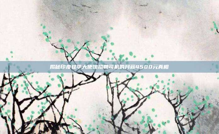 揭秘印度驻华大使馆招聘司机的月薪4500元真相