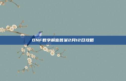 DNF数字解密答案2月12日攻略
