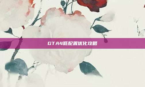 GTA4低配置优化攻略