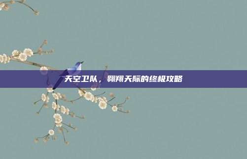 天空卫队，翱翔天际的终极攻略