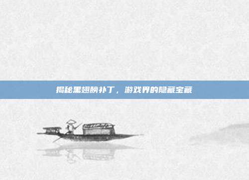 揭秘黑翅膀补丁,游戏界的隐藏宝藏