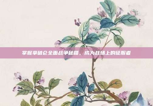 掌握拿破仑全面战争秘籍,成为战场上的征服者