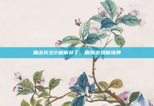 鹰击长空2破解补丁，解锁游戏新境界