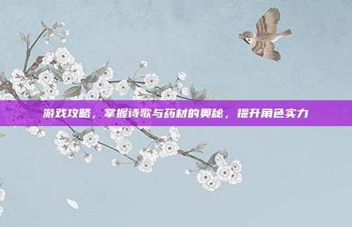 游戏攻略,掌握诗歌与药材的奥秘,提升角色实力