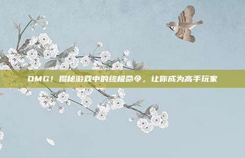 OMG!揭秘游戏中的终极命令,让你成为高手玩家