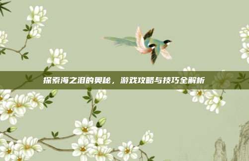 探索海之泪的奥秘,游戏攻略与技巧全解析