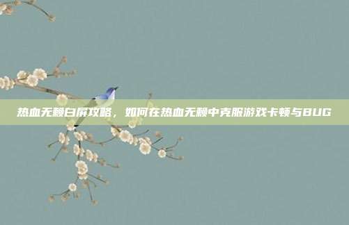 热血无赖白屏攻略,如何在热血无赖中克服游戏卡顿与BUG