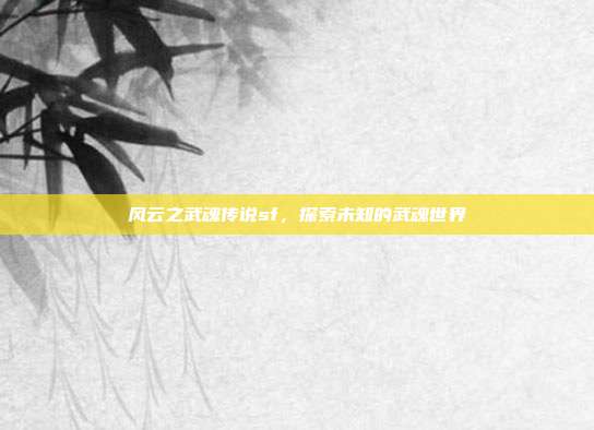 风云之武魂传说sf,探索未知的武魂世界