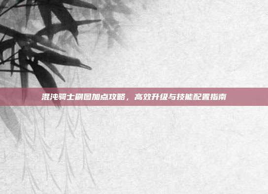 混沌骑士刷图加点攻略,高效升级与技能配置指南