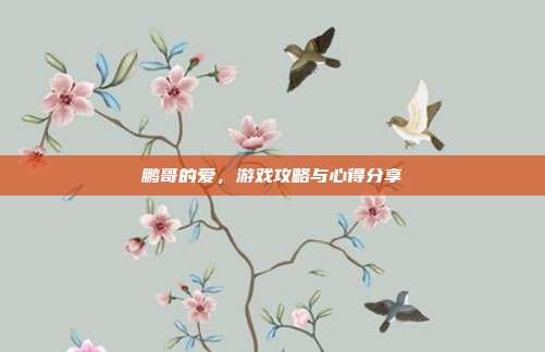 鹏哥的爱,游戏攻略与心得分享