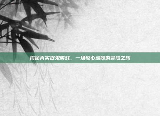 揭秘真实捉鬼游戏,一场惊心动魄的冒险之旅
