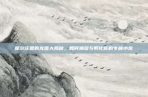 摩尔庄园的龙蛋大揭秘,如何捕捉与孵化你的专属小龙