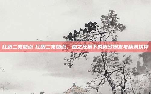 红眼二觉加点-红眼二觉加点，血之狂暴下的极致爆发与续航抉择