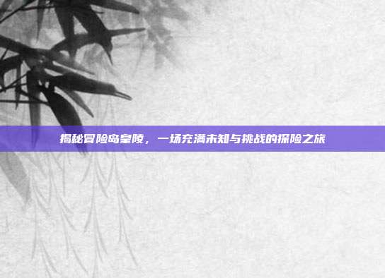 揭秘冒险岛皇陵,一场充满未知与挑战的探险之旅