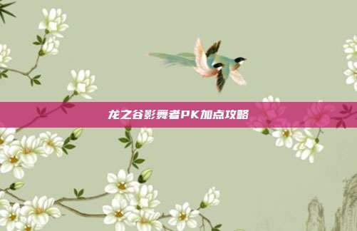 龙之谷影舞者PK加点攻略