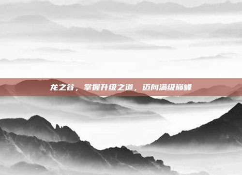 龙之谷,掌握升级之道,迈向满级巅峰