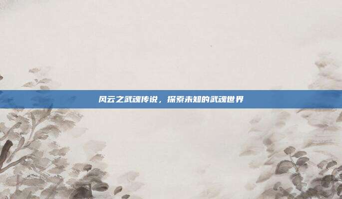 风云之武魂传说,探索未知的武魂世界