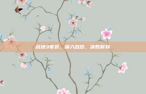 战地3夜袭，深入敌后，决胜时刻