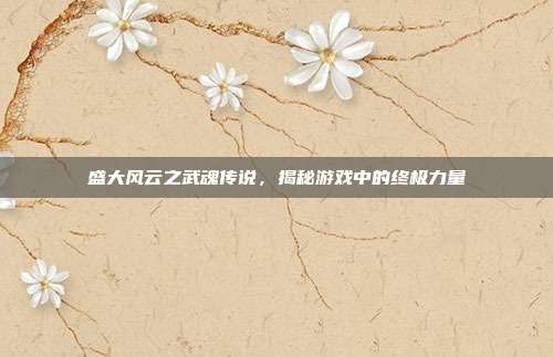 盛大风云之武魂传说,揭秘游戏中的终极力量