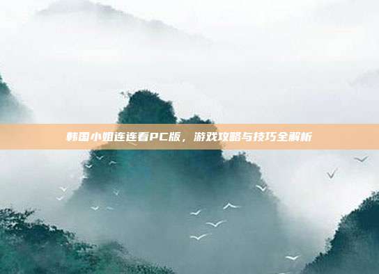 韩国小姐连连看PC版,游戏攻略与技巧全解析