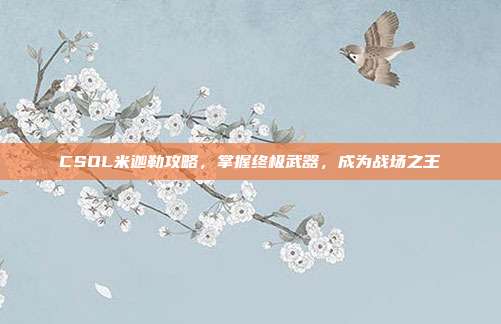 CSOL米迦勒攻略,掌握终极武器,成为战场之王