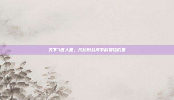 天下3名人堂,揭秘游戏高手的荣耀殿堂
