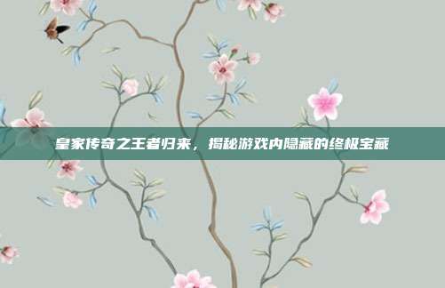 皇家传奇之王者归来,揭秘游戏内隐藏的终极宝藏