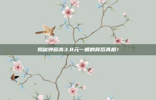 揭秘钟薛高3.8元一根的背后真相!