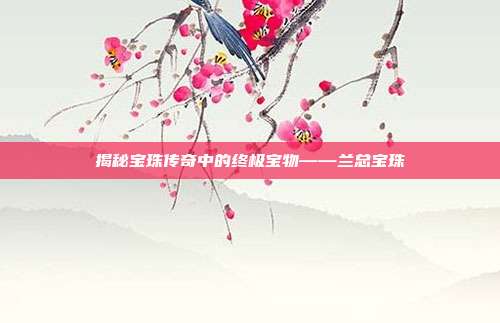 揭秘宝珠传奇中的终极宝物——兰总宝珠