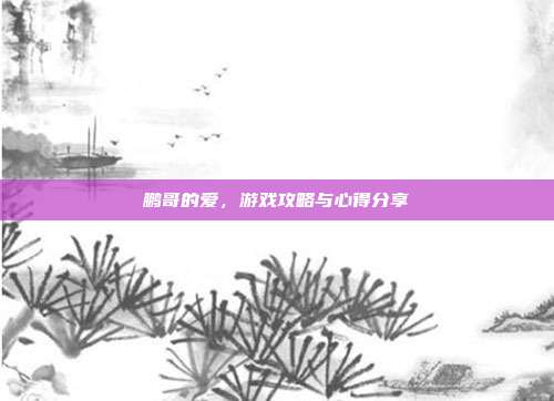 鹏哥的爱，游戏攻略与心得分享
