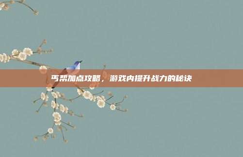 丐帮加点攻略，游戏内提升战力的秘诀