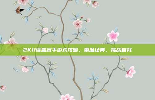 2K11灌篮高手游戏攻略，重温经典，挑战自我