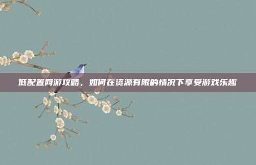 低配置网游攻略，如何在资源有限的情况下享受游戏乐趣