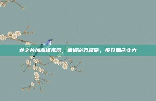 龙之谷加点模拟器，掌握游戏精髓，提升角色实力