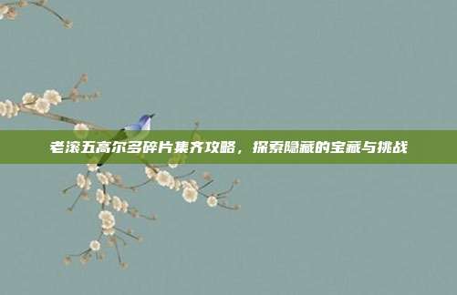 老滚五高尔多碎片集齐攻略,探索隐藏的宝藏与挑战