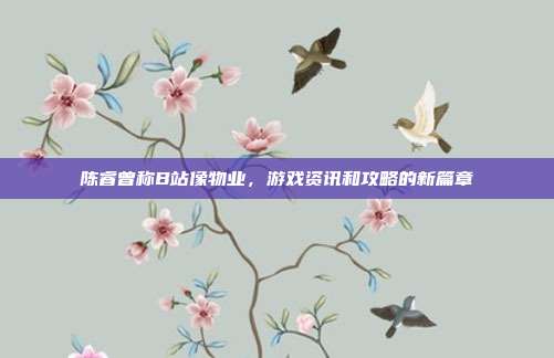 陈睿曾称B站像物业,游戏资讯和攻略的新篇章